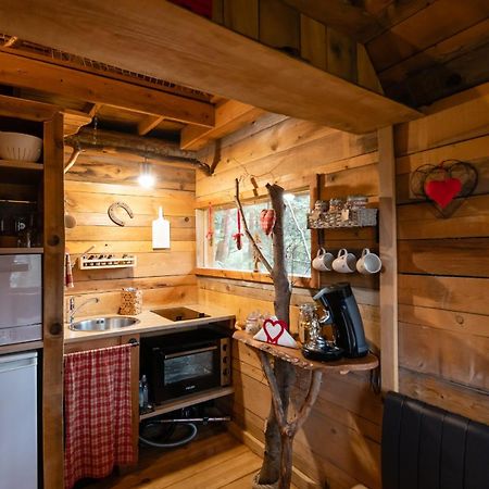 Nids Des Vosges Bed and Breakfast Champdray Εξωτερικό φωτογραφία