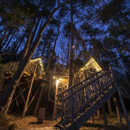 Nids Des Vosges Bed and Breakfast Champdray Εξωτερικό φωτογραφία