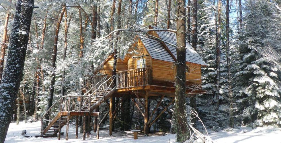 Nids Des Vosges Bed and Breakfast Champdray Εξωτερικό φωτογραφία