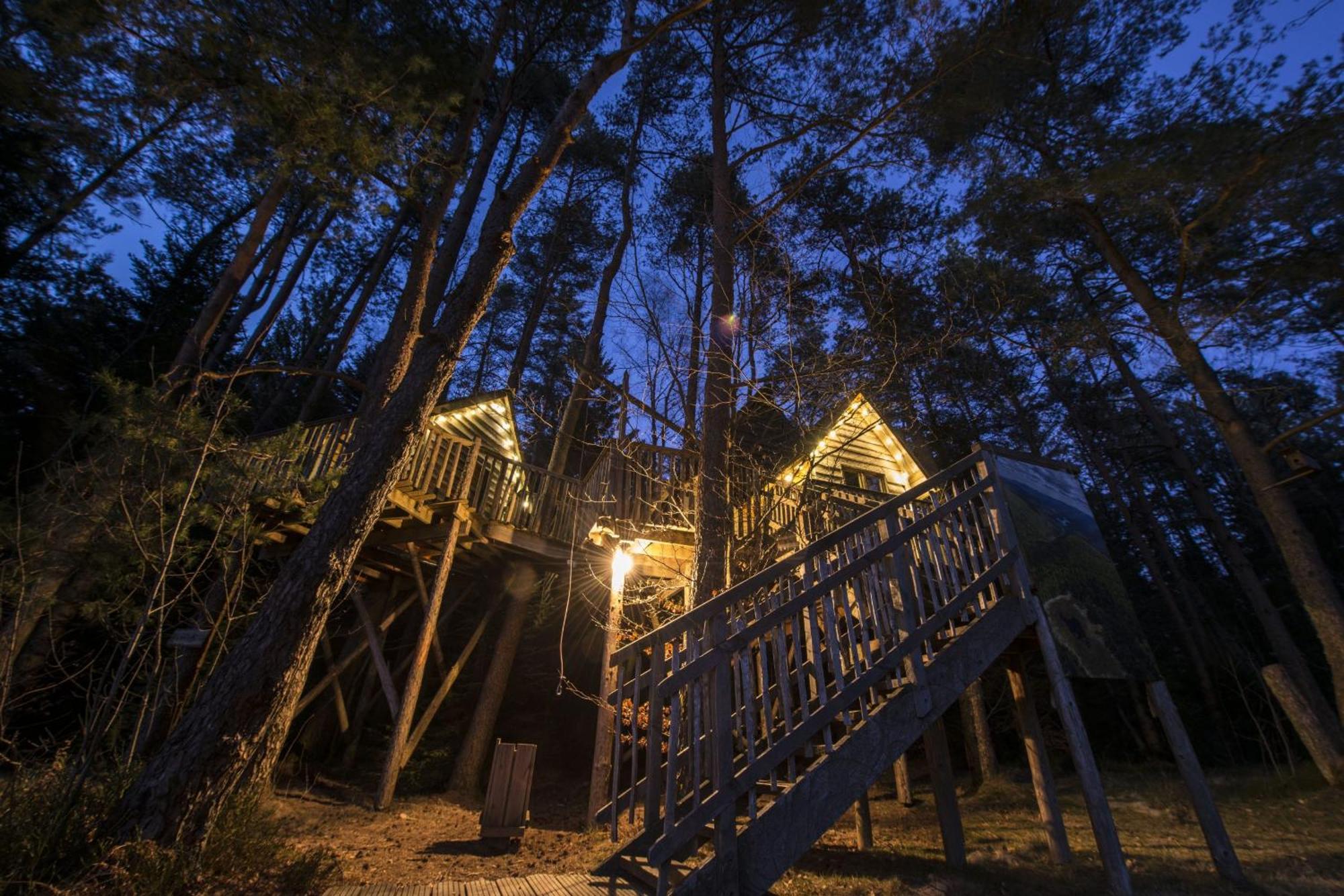 Nids Des Vosges Bed and Breakfast Champdray Εξωτερικό φωτογραφία
