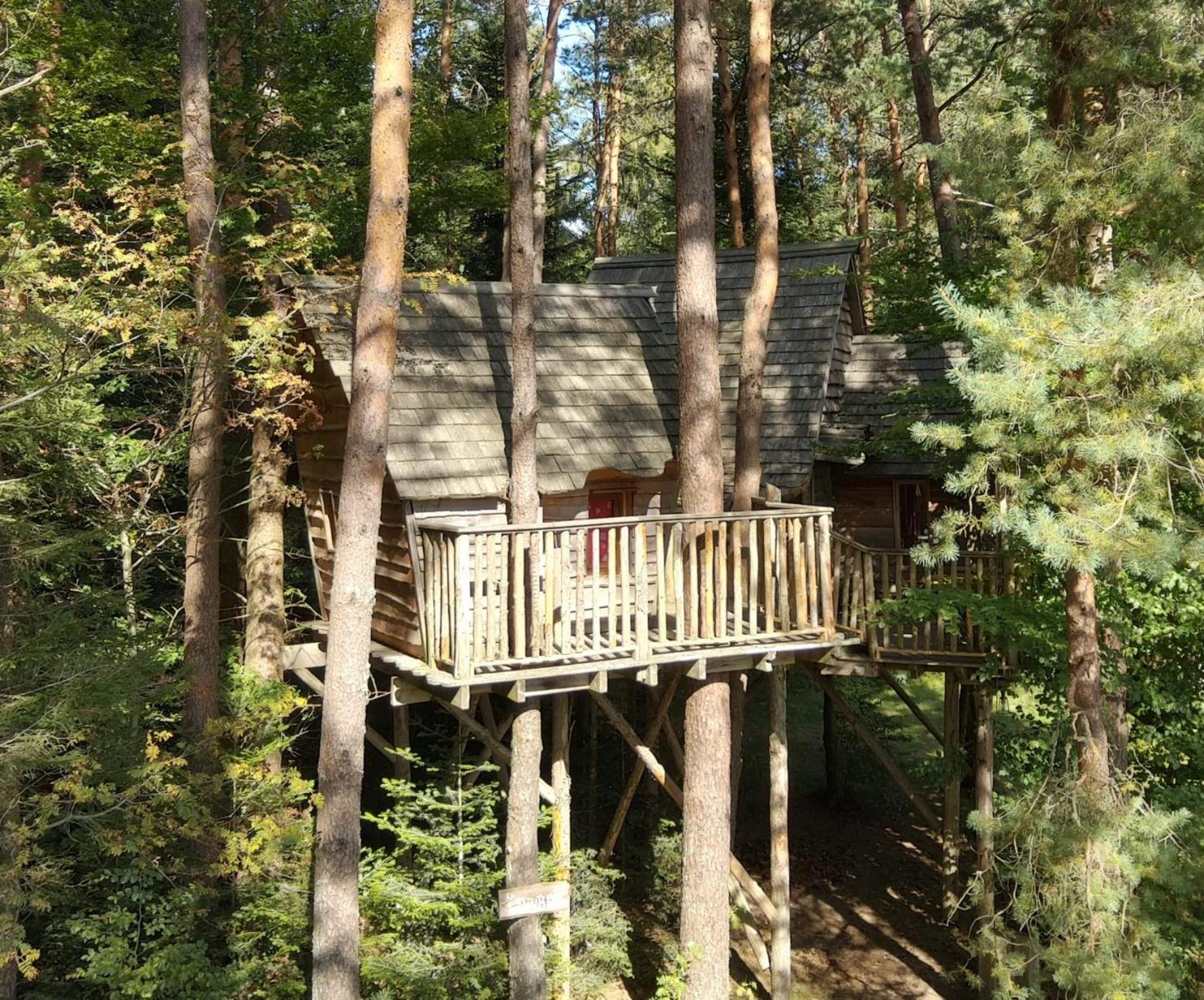 Nids Des Vosges Bed and Breakfast Champdray Εξωτερικό φωτογραφία
